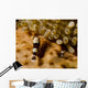 Two Squat Anemone Shrimp Wall Decal