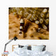 Two Squat Anemone Shrimp Wall Decal