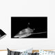 Oceanic Whitetip Shark Taken Wall Decal