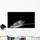Oceanic Whitetip Shark Taken Wall Decal