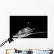 Oceanic Whitetip Shark Taken Wall Decal