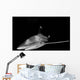 Oceanic Whitetip Shark Taken Wall Decal