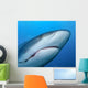 Caribbean Reef Shark with Wall Decal
