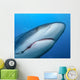 Caribbean Reef Shark with Wall Decal