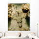 Flathead Crocodilefish Indonesia Wall Decal