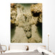 Flathead Crocodilefish Indonesia Wall Decal