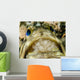 Jawfish Aerating Eggs Its Wall Decal