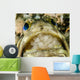 Jawfish Aerating Eggs Its Wall Decal