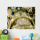Jawfish Aerating Eggs Its Wall Decal
