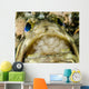 Jawfish Aerating Eggs Its Wall Decal