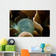 Egg with Developing Cuttlefish Wall Decal