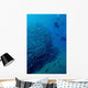 Scuba Divers with Massive Wall Decal