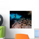 Diver Shines Light Cavern Wall Decal