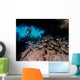 Diver Shines Light Cavern Wall Decal