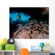 Diver Shines Light Cavern Wall Decal