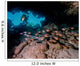 Diver Shines Light Cavern Wall Decal