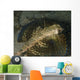 Flying Gurnard with Wings Wall Decal