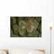 Giant Clam Tridacna Gigas Wall Decal