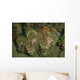 Giant Clam Tridacna Gigas Wall Decal
