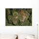 Giant Clam Tridacna Gigas Wall Decal
