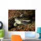 Green Sea Turtle Bunaken Wall Decal Design 3