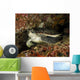 Green Sea Turtle Bunaken Wall Decal Design 3