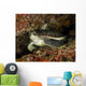 Green Sea Turtle Bunaken Wall Decal Design 3