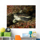 Green Sea Turtle Bunaken Wall Decal Design 3