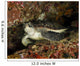 Green Sea Turtle Bunaken Wall Decal Design 3