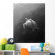 Green Sea Turtle Bunaken Wall Decal Design 2