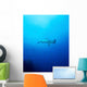 Scalloped Hammerhead Shark Socorros Wall Decal