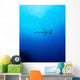 Scalloped Hammerhead Shark Socorros Wall Decal
