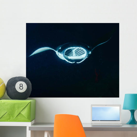 Reef Manta Ray Feeding Wall Decal