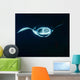 Reef Manta Ray Feeding Wall Decal