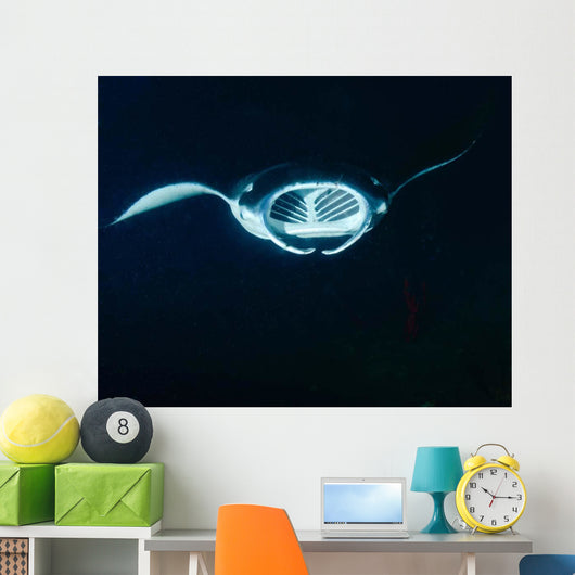 Reef Manta Ray Feeding Wall Decal