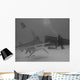 Diver Watches Great Hammerhead Wall Decal
