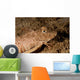 Leopard Sea Robin West Wall Decal