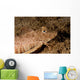 Leopard Sea Robin West Wall Decal
