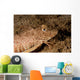 Leopard Sea Robin West Wall Decal
