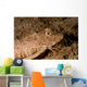 Leopard Sea Robin West Wall Decal