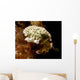 Lettuce Sea Slug Little Wall Decal