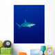Caribbean Reef Shark Turks Wall Decal