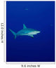 Caribbean Reef Shark Turks Wall Decal