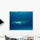 Great Hammerhead Shark Bimini Wall Decal Design 1