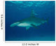 Great Hammerhead Shark Bimini Wall Decal Design 1