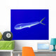 Mahi Mahi Fish Cat Wall Decal