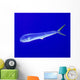 Mahi Mahi Fish Cat Wall Decal