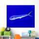 Mahi Mahi Fish Cat Wall Decal
