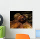 Eye Common Octopus West Wall Decal