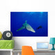 Diver Follows Oceanic Whitetip Wall Decal